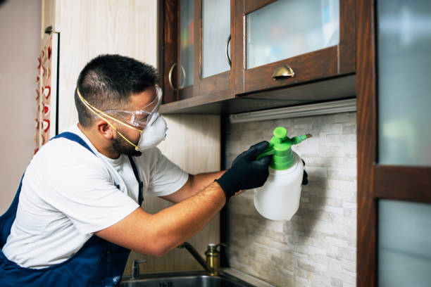 Best Ant Control Services  in Marion, MT
