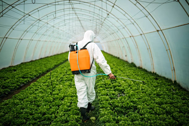 Best Affordable Pest Control Services  in Marion, MT