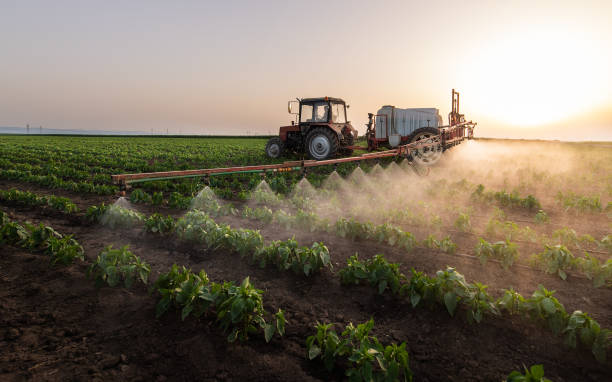 Best Commercial Pest Control Services  in Marion, MT