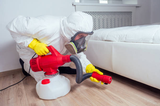 Best Mosquito Control Services  in Marion, MT