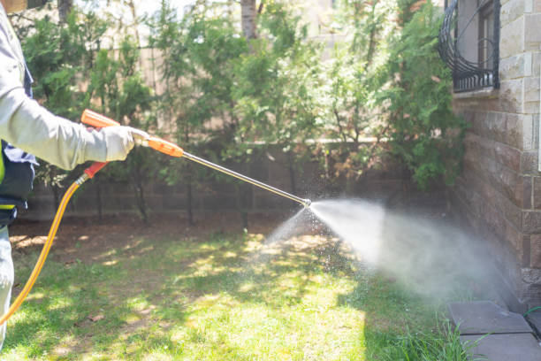 Best Cockroach Control Services  in Marion, MT