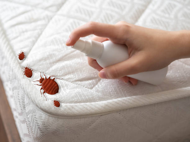 Best Emergency Pest Control  in Marion, MT