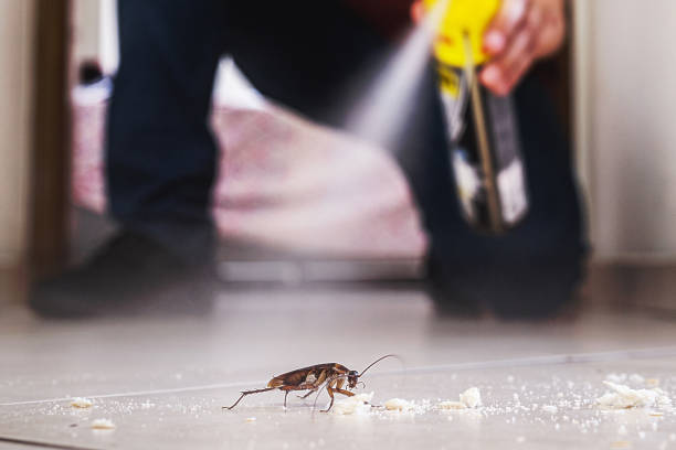 Best Rat Extermination Near Me  in Marion, MT