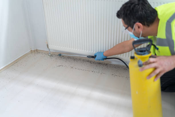 Best Pest Control for Homes  in Marion, MT